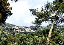 CPSM Magagnosc De Grasse Vue Pittoresque