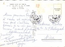 CPSM Turini Le Mago Passage De Taureaux