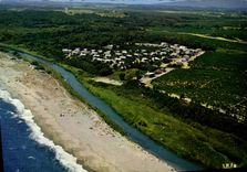 CPSM Alistro Corsicana Foret