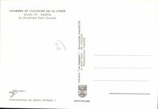 CPSM Bastia Le Boulevard Paoli Illumine