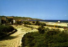 CPSM Lozari Par Belgodere