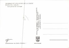 CPSM Calvi Une Partie De La Plage