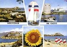 CPSM Calvi Ile De Beaute