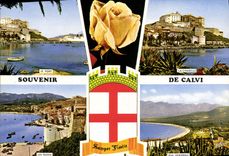 CPSM Calvi Ile De Beaute Corse