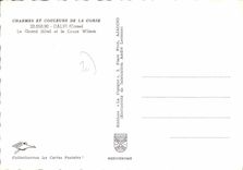 CPSM Calvi Le Grand Hotel Et Le Cours Wilson