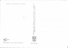CPSM Souvenir De Calvi