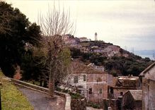 CPSM Cap Corse Canari 