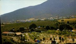 CPSM Galeria Vue Generale Ideal Camping