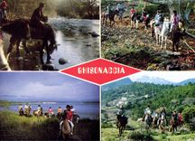 CPSM Cavallu Diu Fium Orbu Bruschettu Ghisonaccia