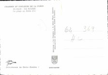 CPSM Ile Rousse La Plage Au Sable D'Or