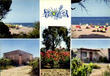 CPSM Tropica Par Chiatra Commune De Linguizetta