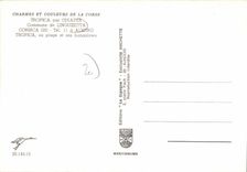 CPSM Tropica Par Chiatra Commune De Linguizetta