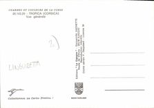 CPSM Tropica Vue Generale