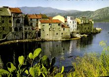 CPSM Saint Florent La Vieille Ville