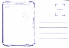 CPSM Saint Florent Les yachts Dans Le Port De Plaisance