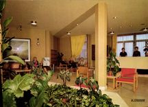 CPSM Taglio Isolaccio Centre De Vacances De Loisirs Et De Repos Le Hall D'Accueil