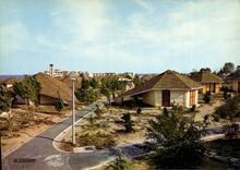 CPA Taglio Isolaccio Centre De Vacances De Loisirs Et De Repos à travers les bungalows