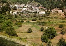 CPA Zicavo Vue Partielle