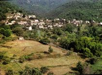 CPA Zicavo Vue Partielle