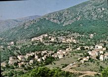 CPA Moltifao Vue Generale Du Village Cliche Particulier