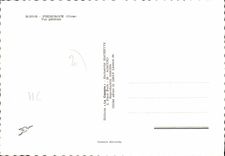 CPSM Piedicroce Vue Generale