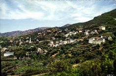 CPSM Pino Vue Generale