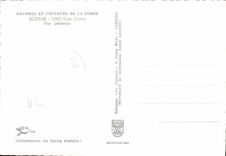 CPSM Pino Vue Generale