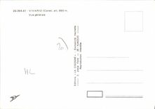 CPSM Vivario Vue Generale