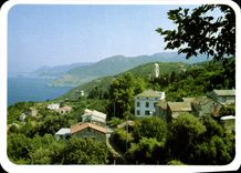 CPSM Charmes Et Couleurs De La Corse Pino