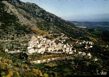 CPSM Cervione Vue Generale