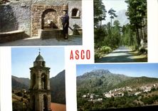 CPSM Asco La Fontaine Vue Generale Le Clocher La Foret