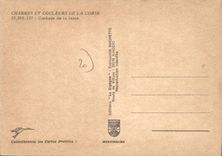 CPSM Charmes Et Couleurs De La Corse Cardage De La Laine