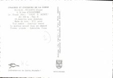 CPSM Charmes Et Couleurs De La Corse Feliceto D'Ile Rousse grand hotel Maree E monti