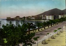 CPSM Ajaccio Boulevard Albert 1er