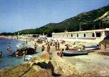 CPSM Ajaccio Hotel Palm Beach Route Des Sanguinaires