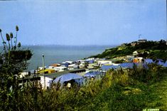 CPSM Villerville Maison Friess Le Camping Des Graves