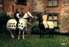 CPSM Collonges La Rouge Les Tournoyeurs chevaliers tournoi