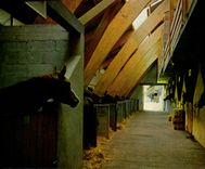 CPSM Club Mediterranee Centre Equestre De Pompadour