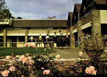 CPSM Pompadour Domaine De La Noaille club med