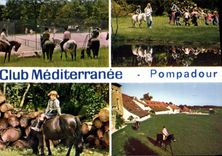 CPSM Pompadour Domaine De La Noaille