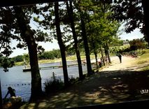 CPSM Seilhac La Baignade Et Les Bords Du Lac