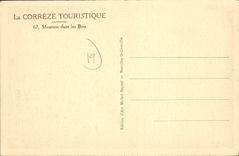 CPA Moutons Dans Les Bois