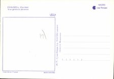 CPSM Chaumeil Vue Generale Aerienne