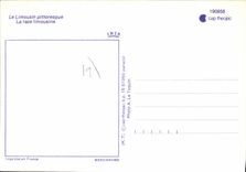 CPSM Le Limousin Pittoresque La Race Limousine vache bœuf