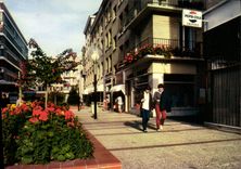 CPSM Caen Zone Pietonne