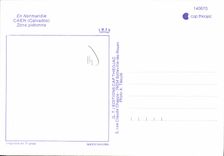 CPSM Caen Zone Pietonne