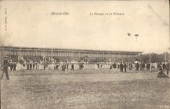 CPA Deauville Le Pesage Et La Pelouse