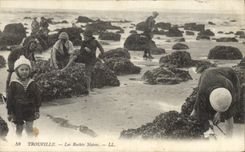 CPA Trouville Les Roches Noires