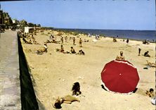 CPSM Lion Sur Mer Sa Plage De Sable