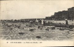 CPA Luc Sur Mer La Peche Aux Moules